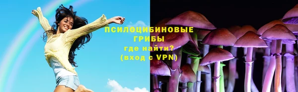 jwh Вяземский
