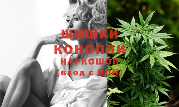 трава Вязьма